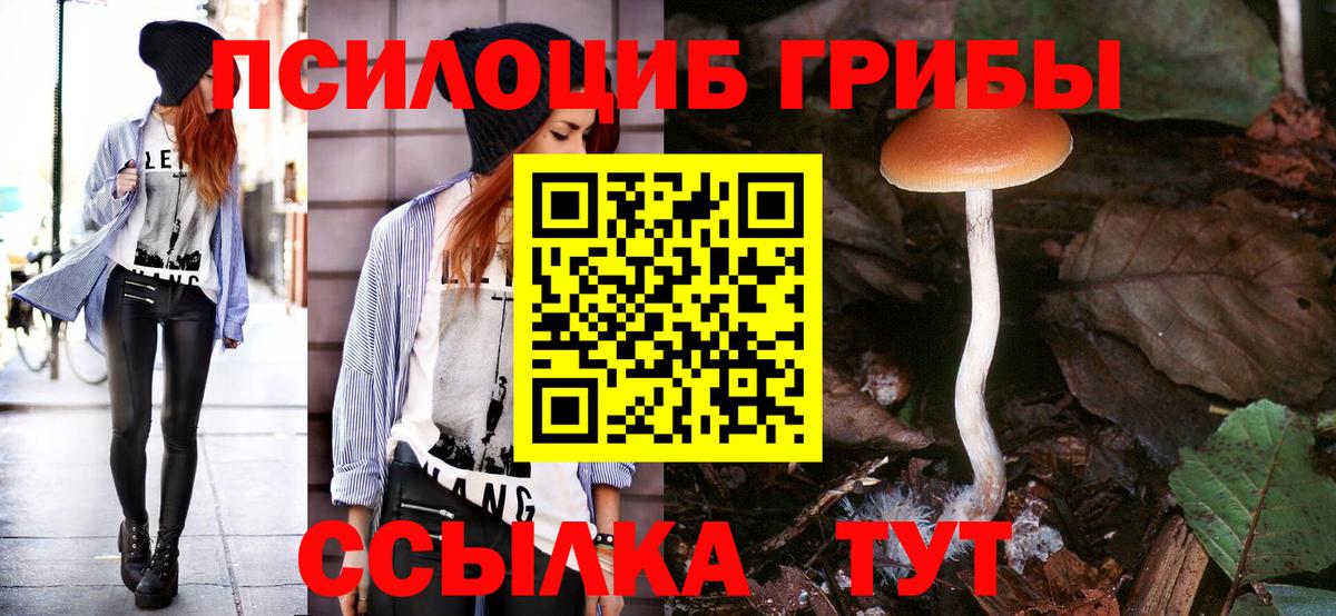 Кстово  Галлюциногенные грибы мицелий  Вход с VPN 