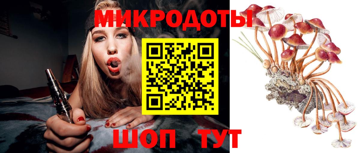 Галлюциногенные грибы Cubensis Кстово